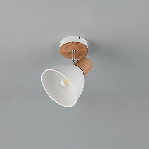 Plafondlamp Delume enkel wit Trio 4017807672213