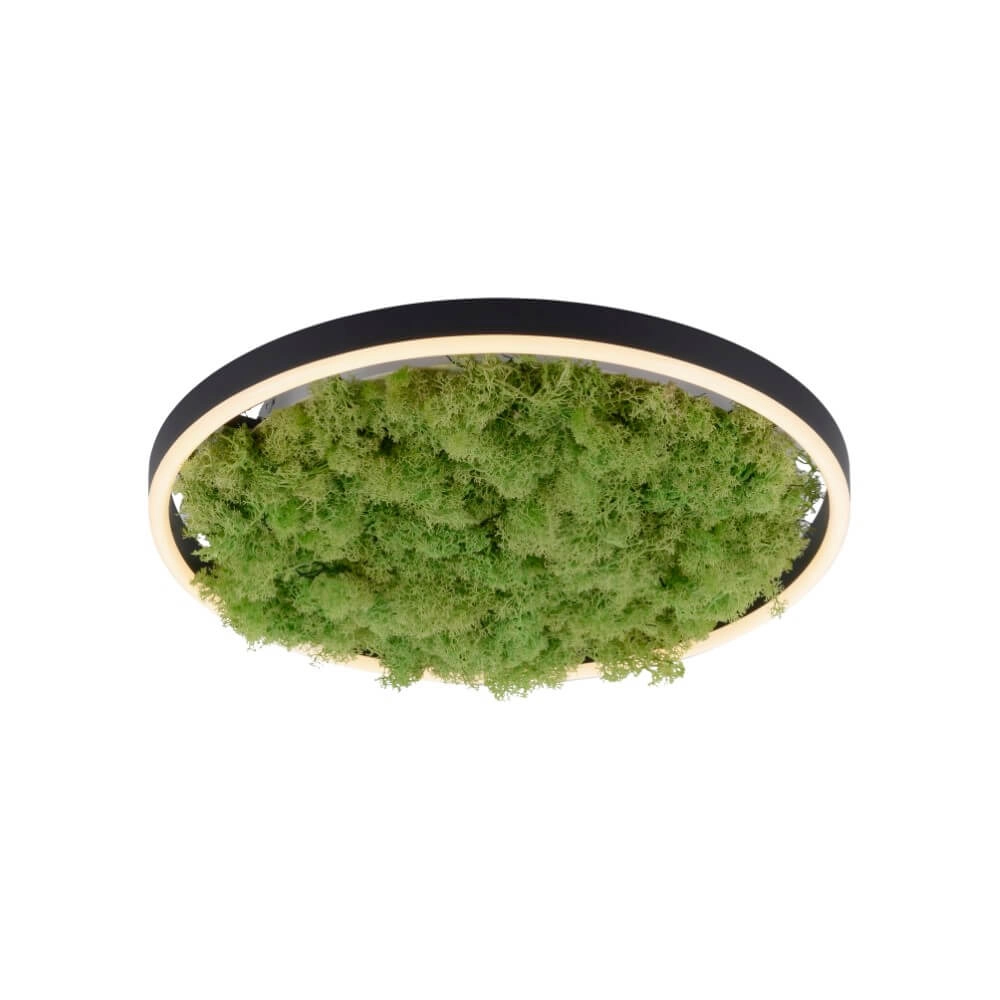 Plafondlamp Green Ritus met mos Ø 39,3cm Just Light 4043689994792