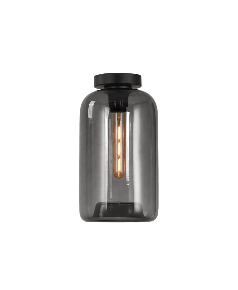 Plafondlamp Botany smoke glas