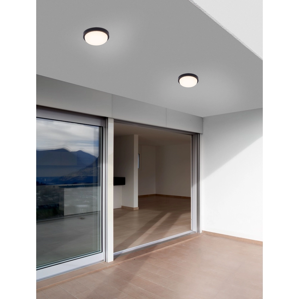 Plafondlamp Reo zwart Ø 23,5cm Lyora 5212017453310