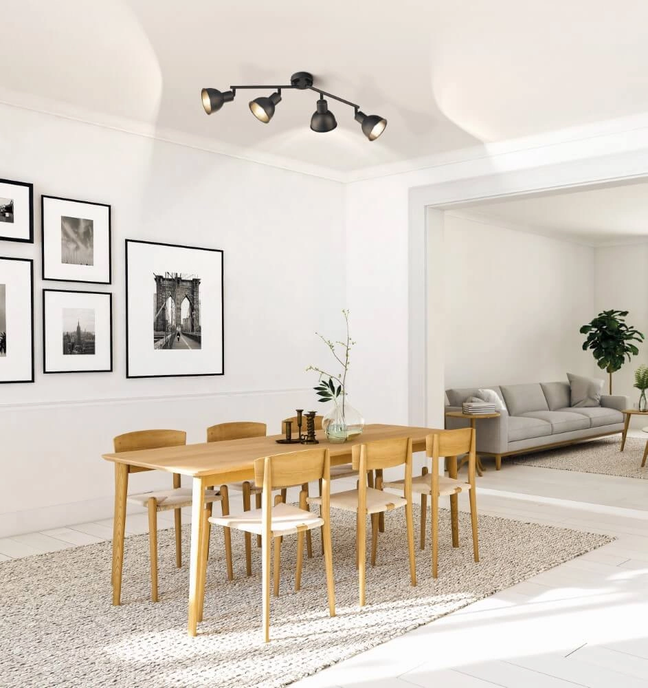 Verstelbare plafondspot Speedy mat zwart Fischer & Honsel 4003694212489