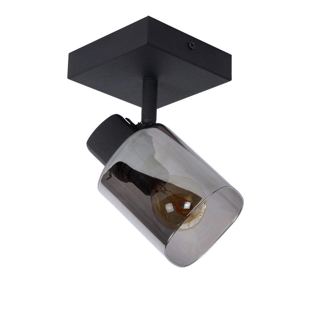 Plafondlamp Alion enkel zwart met smoke glas