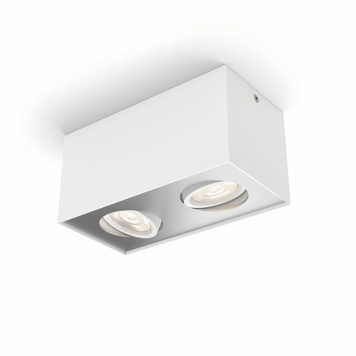 Spotlamp Box 2-lichts wit