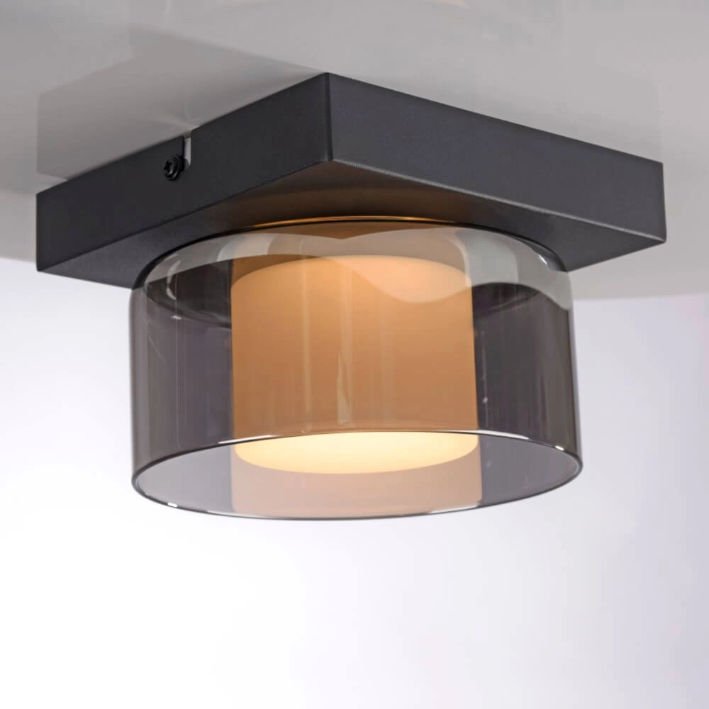 Zwarte plafondlamp Rika 1-lichts zwart Paul Neuhaus 4012248385012