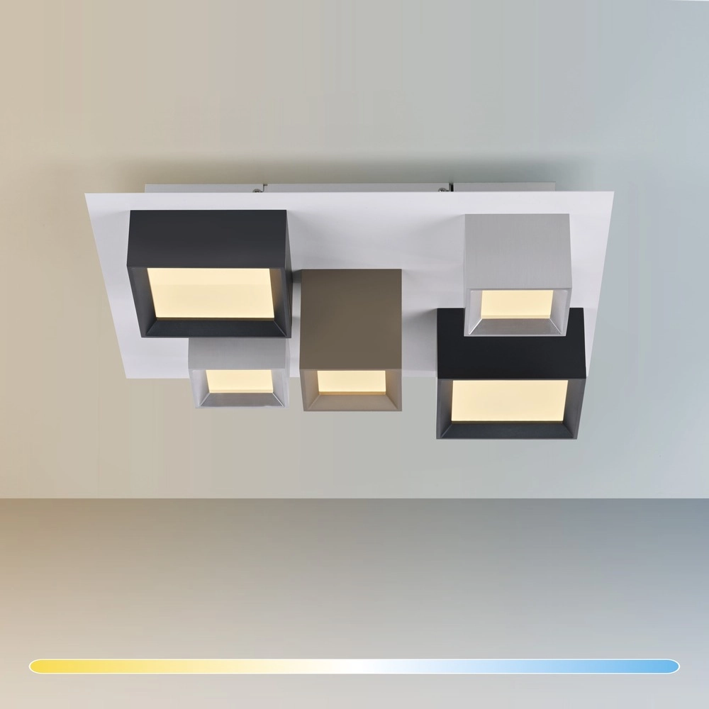 Led plafondlamp Pure Manhattan 5-lichts Paul Neuhaus 4012248396889