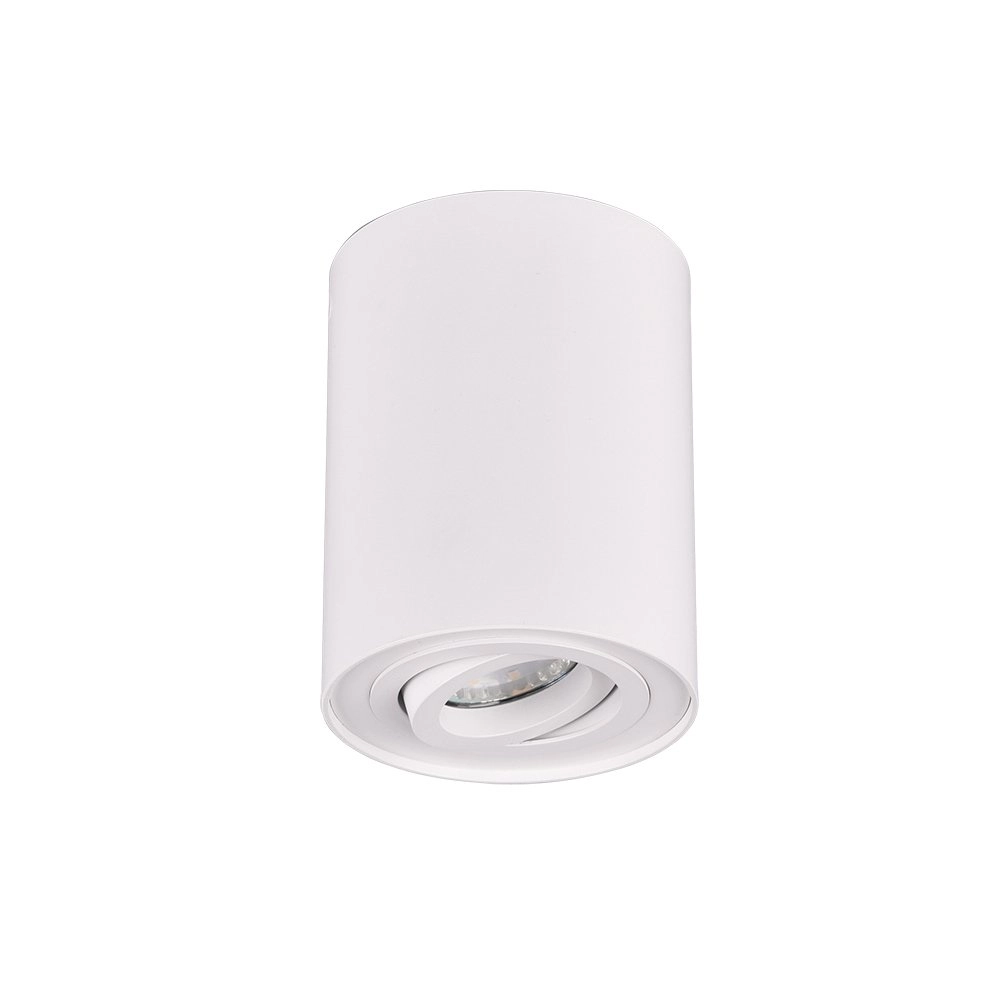 Witte plafondspot Cookie