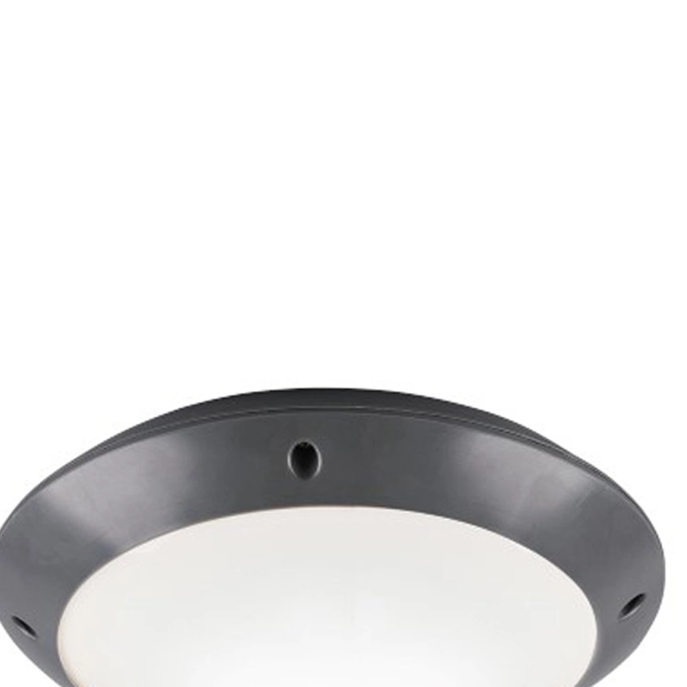 Plafonnière Camaro 26cm antraciet Trio 4017807405910