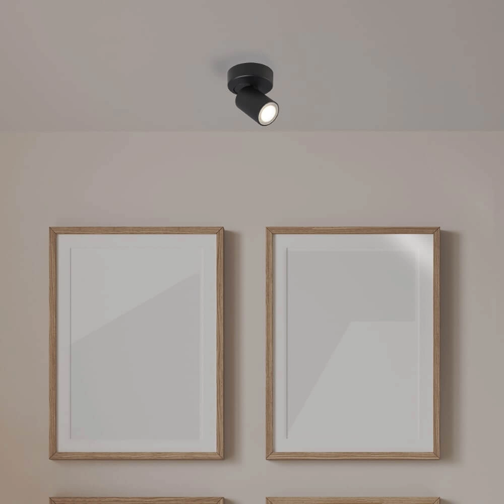 Plafondlamp Moon 1 rond zwart Lyora