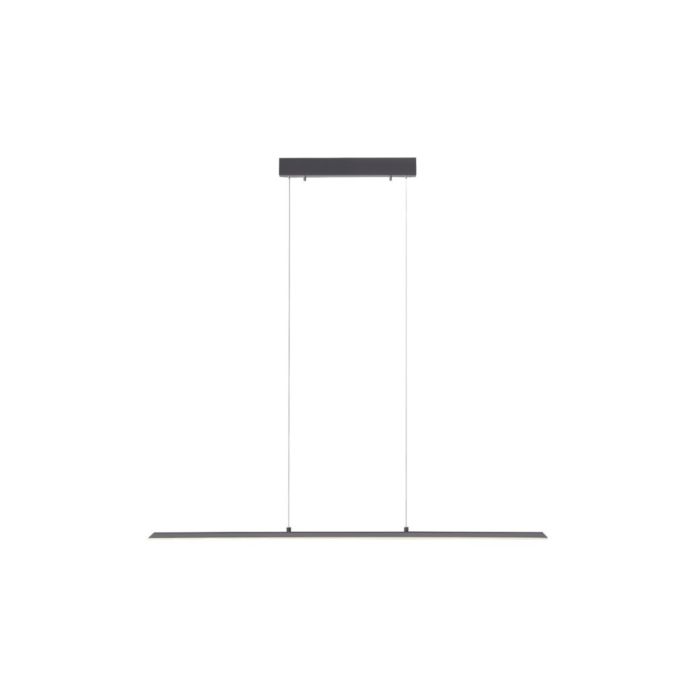Design hanglamp Pure Lite 100cm antraciet Paul Neuhaus 4012248344873