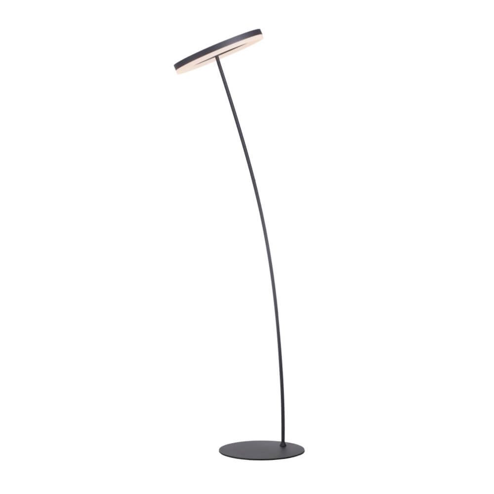 Antraciete vloerlamp Titus modern Paul Neuhaus 4012248357637