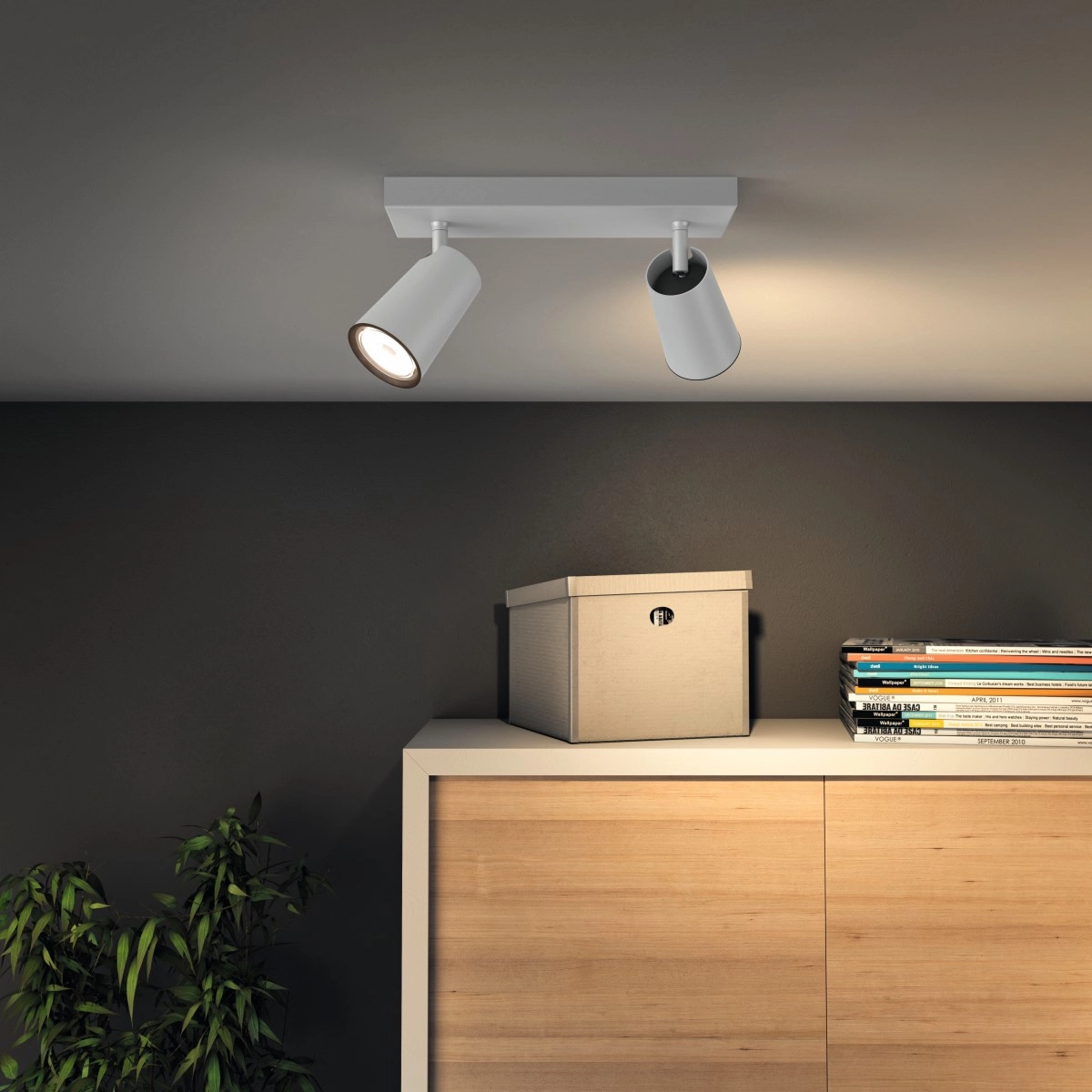 Spotlamp Paisley 2-lichts wit Philips 8718696164662