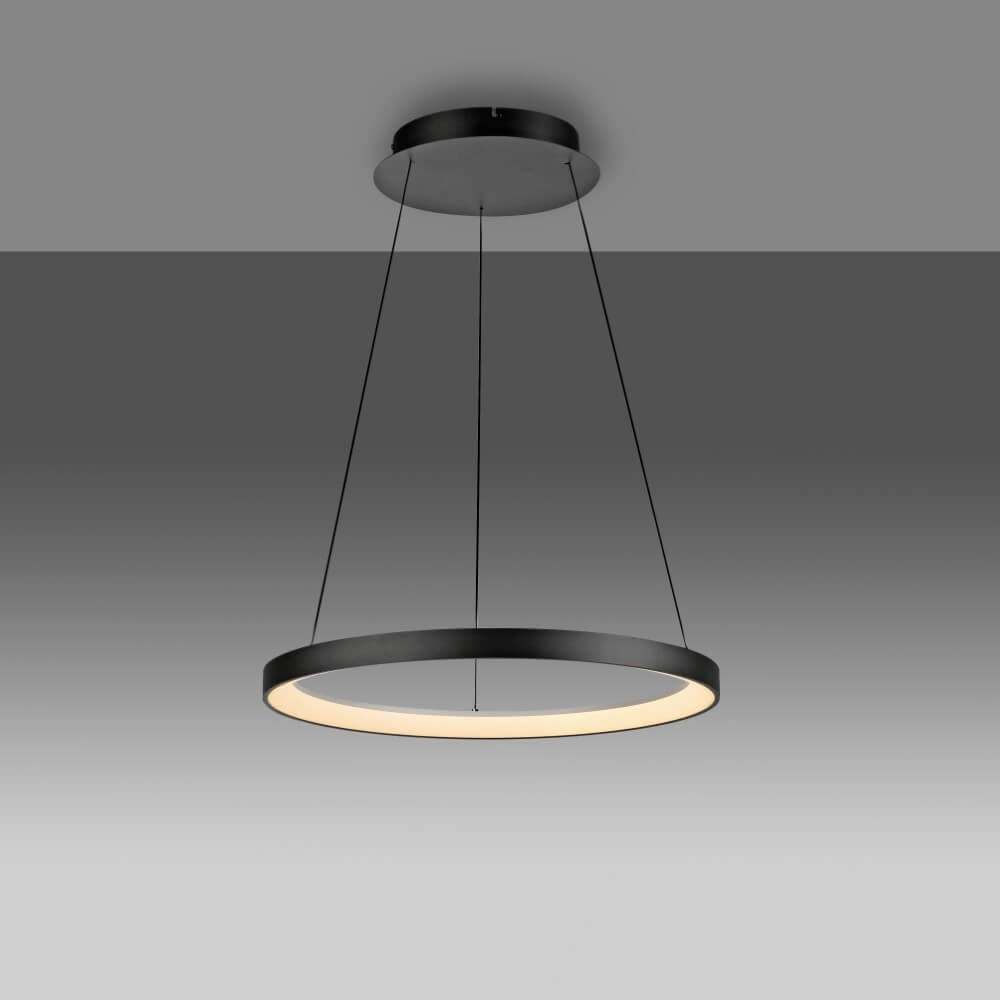 Ronde hanglamp Hoop zwart Paul Neuhaus 4012248384695