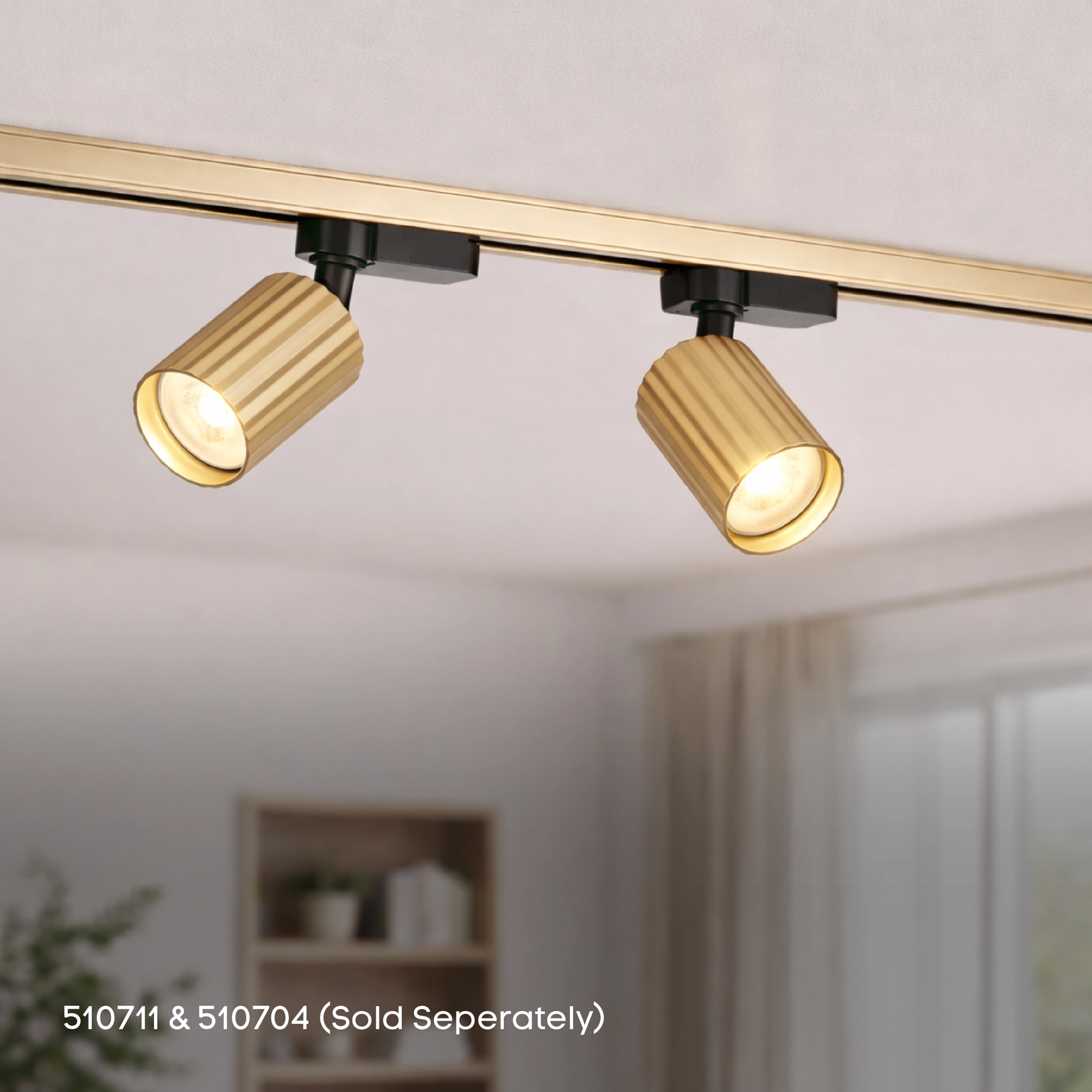 1 meter rail TraQ goud Lyora 5053423317090