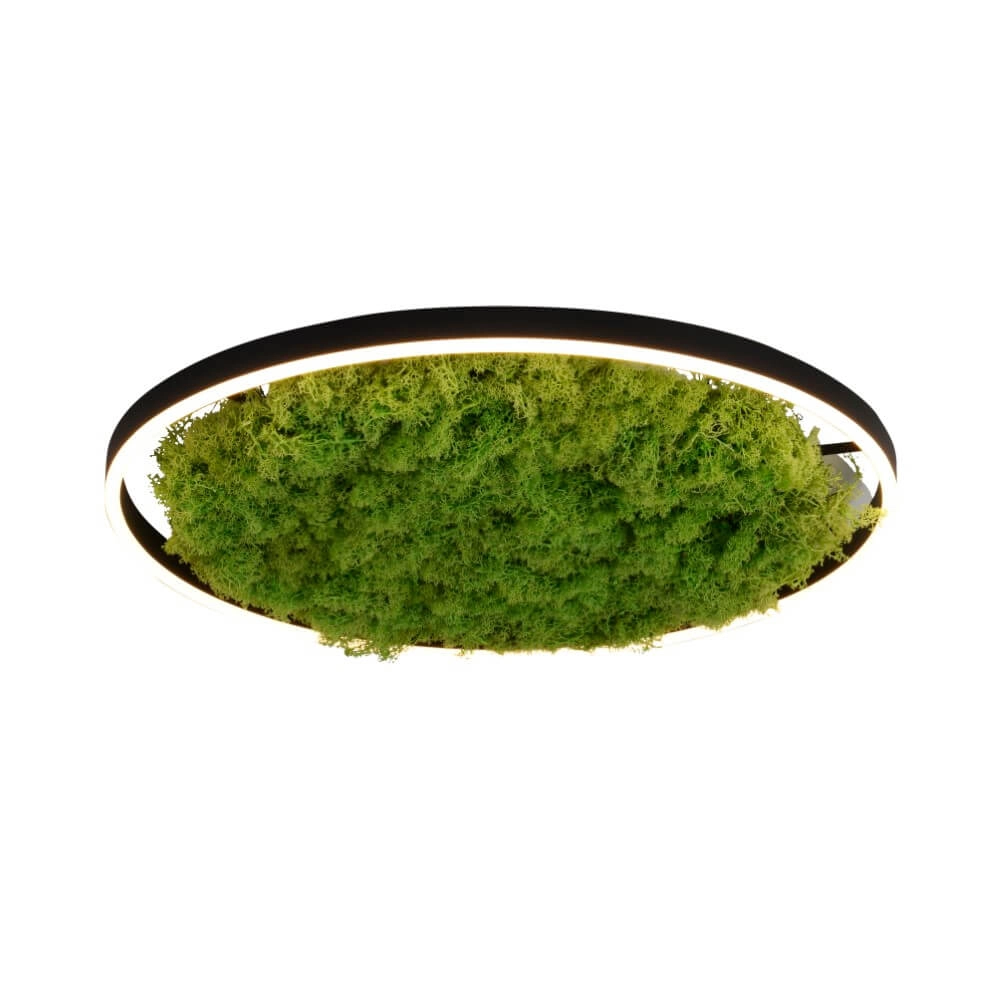 Plafondlamp Green Ritus met mos Ø 58,5cm Plafondlamp Green Ritus met mos Ø 58,5cm
