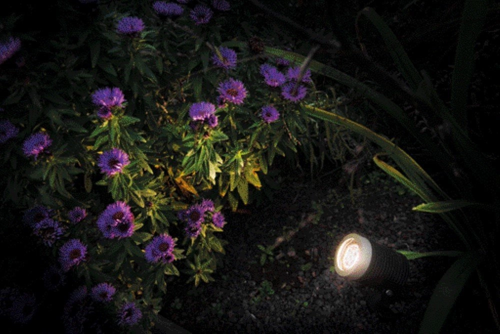 Tuinspot Arcus 12V led GardenLights 5907800856613