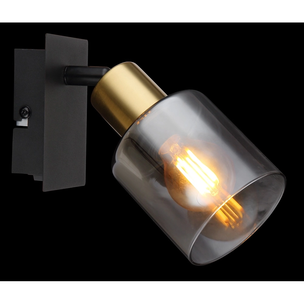 Wandlamp Hollsy zwart met smoke glas Globo 9007371457847
