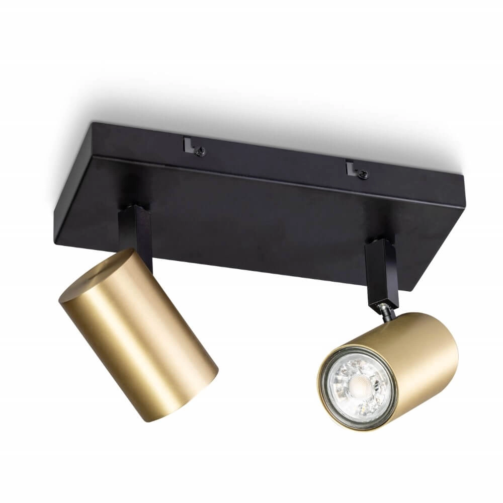 2-lichts plafondspot The Common zwart met goud