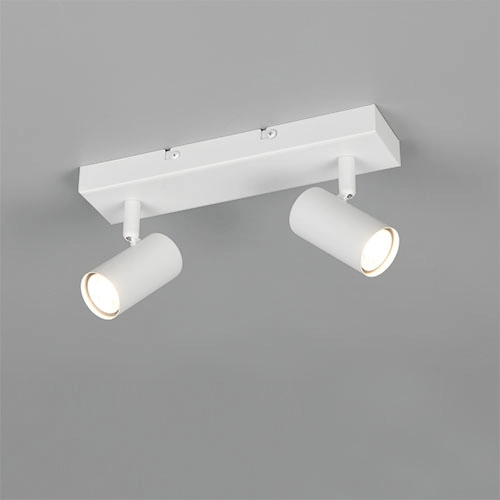 Opbouwspot Taryn 2-lichts wit