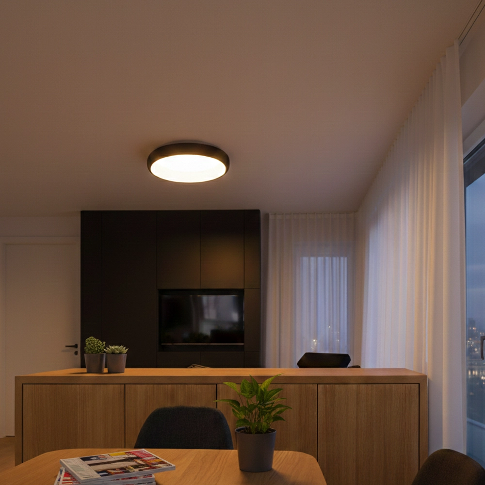 Plafondlamp Albi zwart Ø 41cm