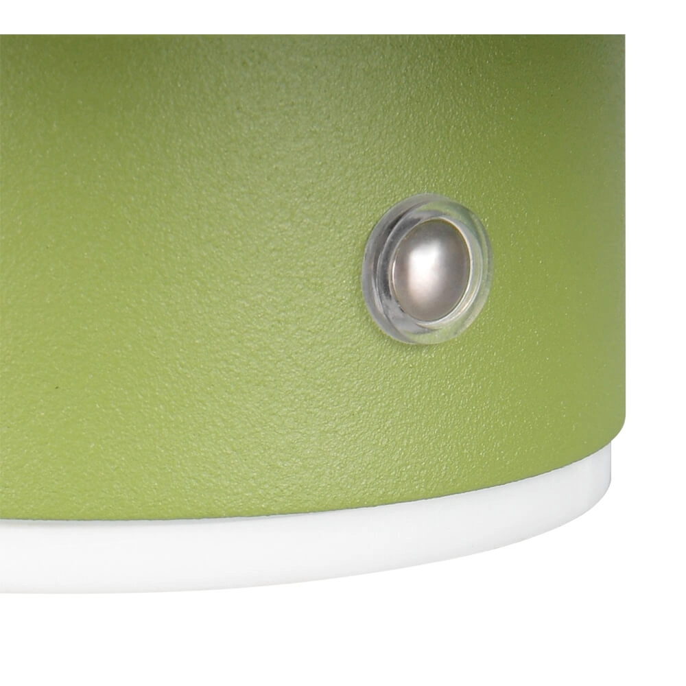 Groene wandlamp Davey Ø 15cm Trio 4017807643824