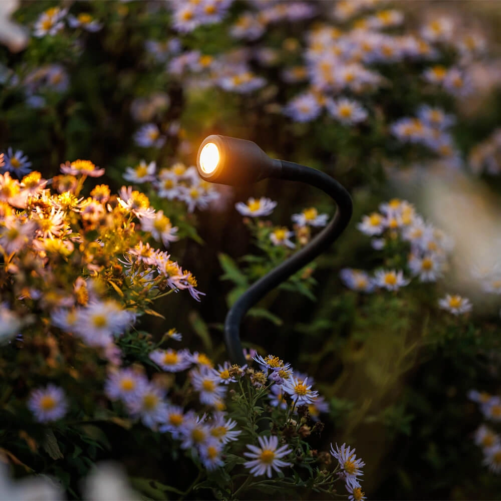 Flexibele 12 volt spot Xible Lightpro 8719979283667