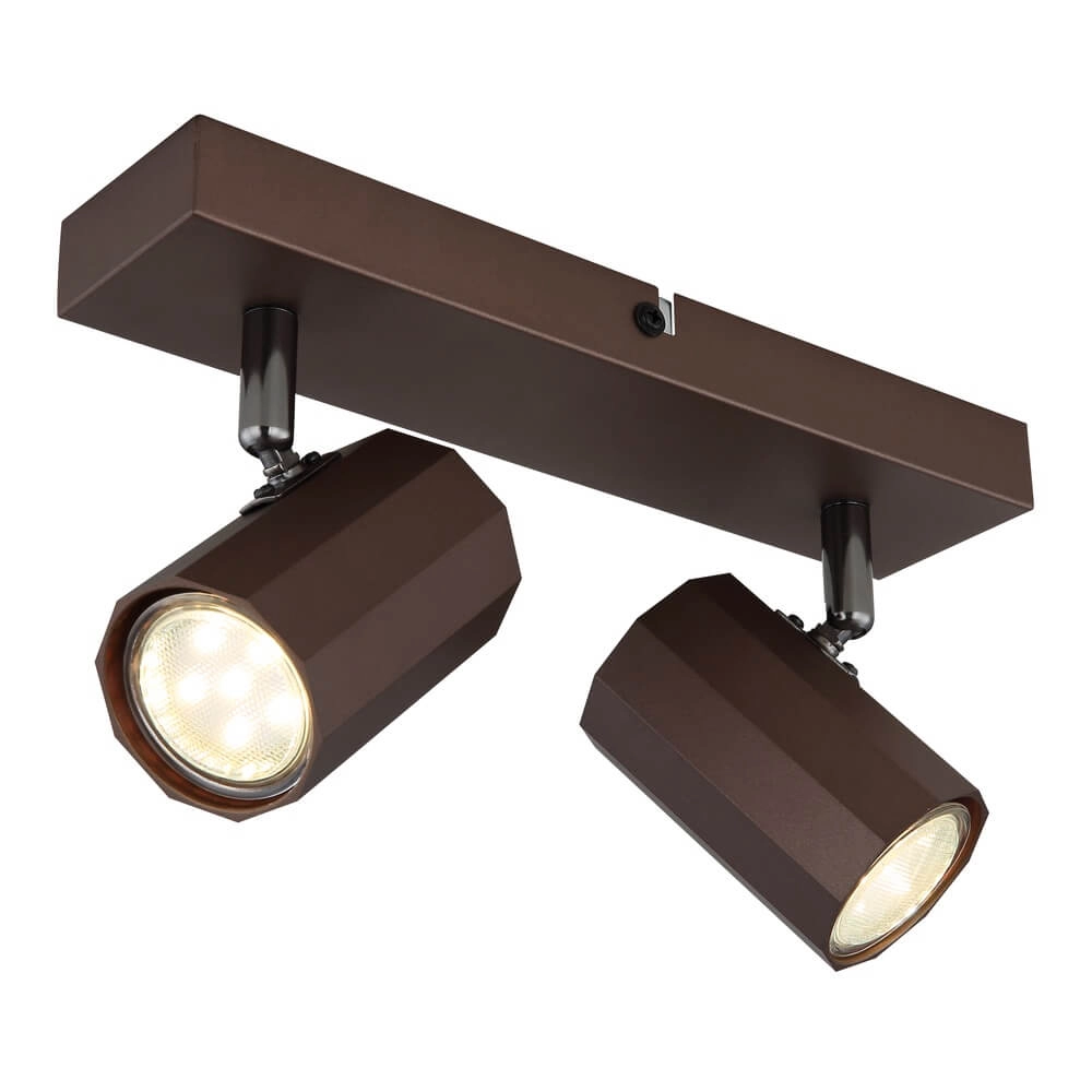 Bronzen plafondlamp James dubbel Bronzen plafondlamp James dubbel