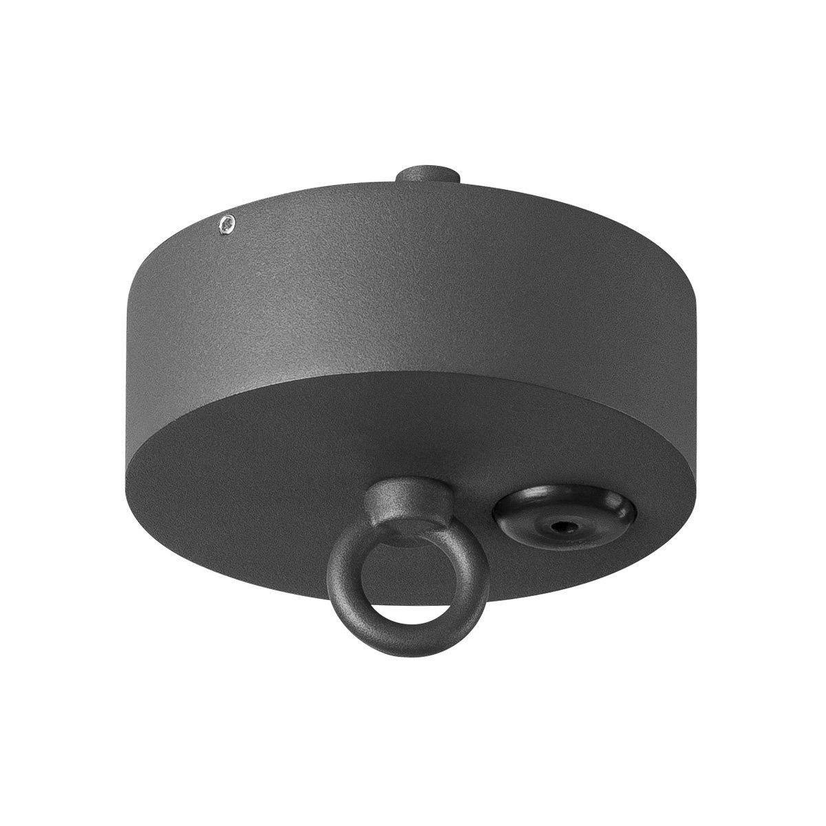Plafondrozet voor Photonia Plafondrozet voor Photonia
