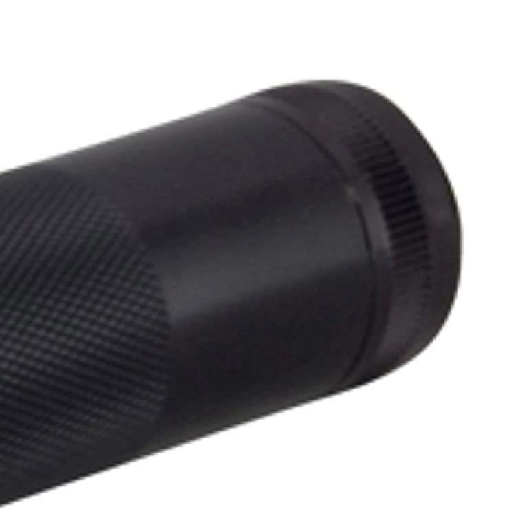 2C-cell Mag Led ML100 Zwart Maglite 38739800233