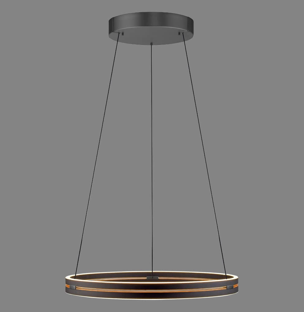 Strakke hanglamp Pure E-Loop zwart Ø 70cm Paul Neuhaus 4012248384336