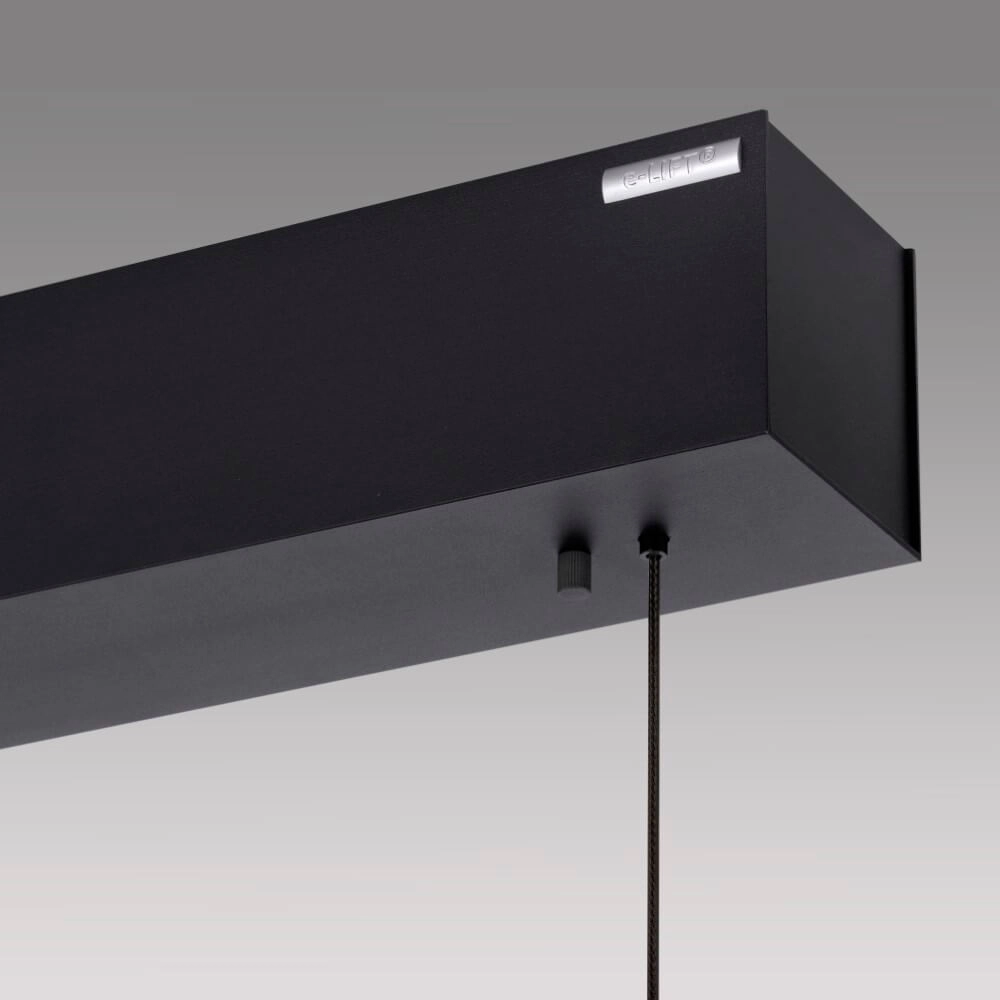 Design hanglamp Pure E-Motion hout Paul Neuhaus 4012248372937