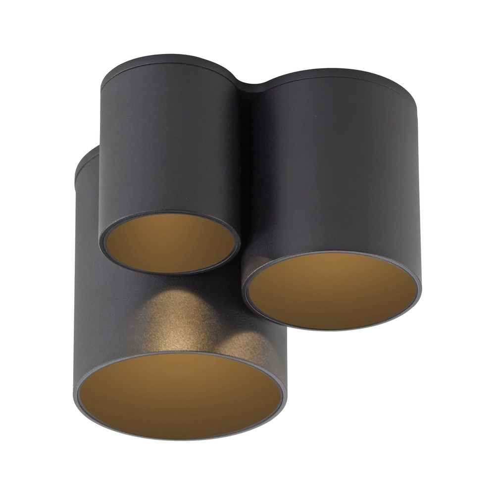 3L plafondlamp Pure Point black pearl Paul Neuhaus 4012248395714