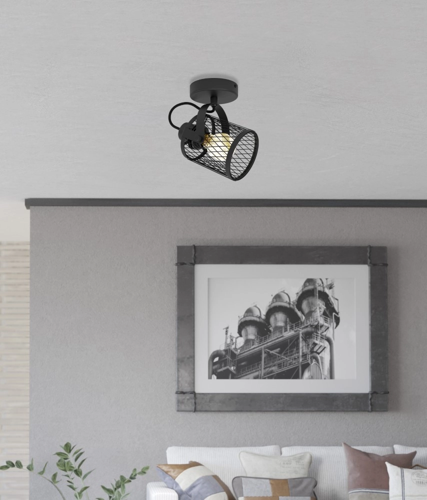 Plafondlamp Dellow 1 zwart enkel Eglo 9002759312435