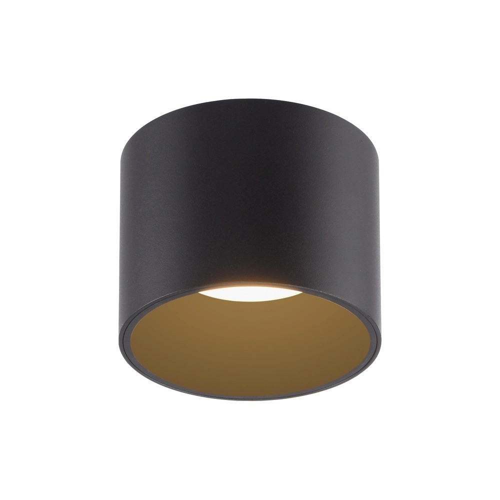 Plafond opbouwspot Pure Point Ø 11cm - black pearl Paul Neuhaus 4012248395646