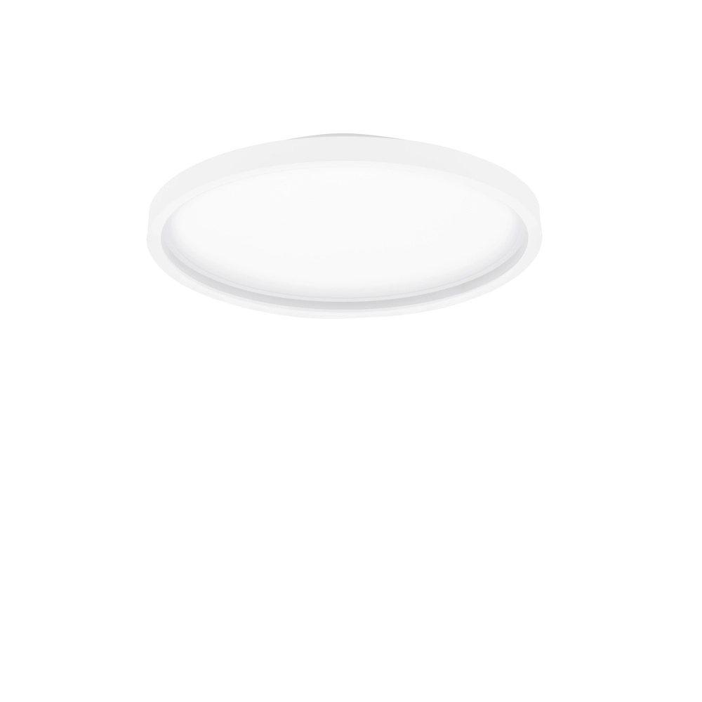 Plafonniere Chet Ø 39,3cm met RGB functie Lyora 5212017450142