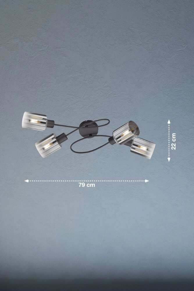 Plafondlamp Iska 4-lichts Fischer & Honsel 4003694213219