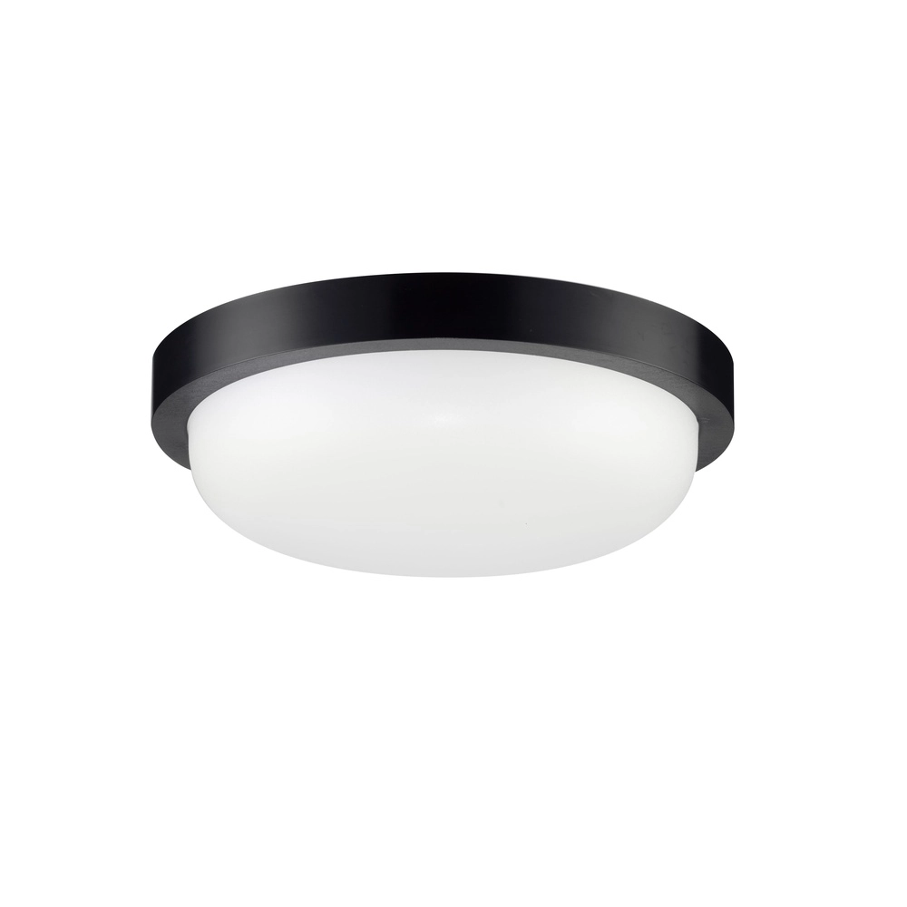 Plafondlamp Reo zwart Ø 23,5cm Lyora 5212017453310