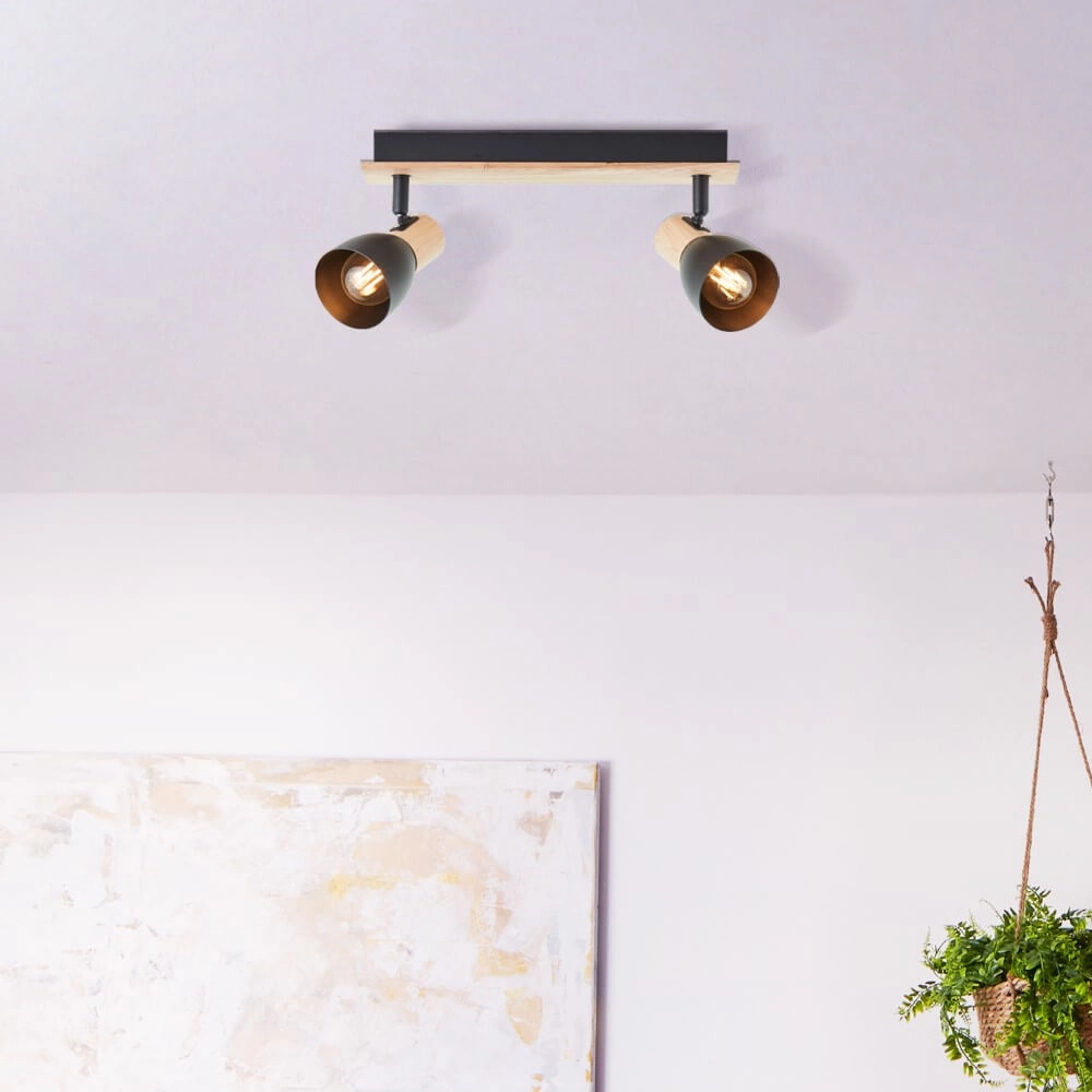 Plafondlamp Daintree 2-lichts zwart Brilliant 4004353408670