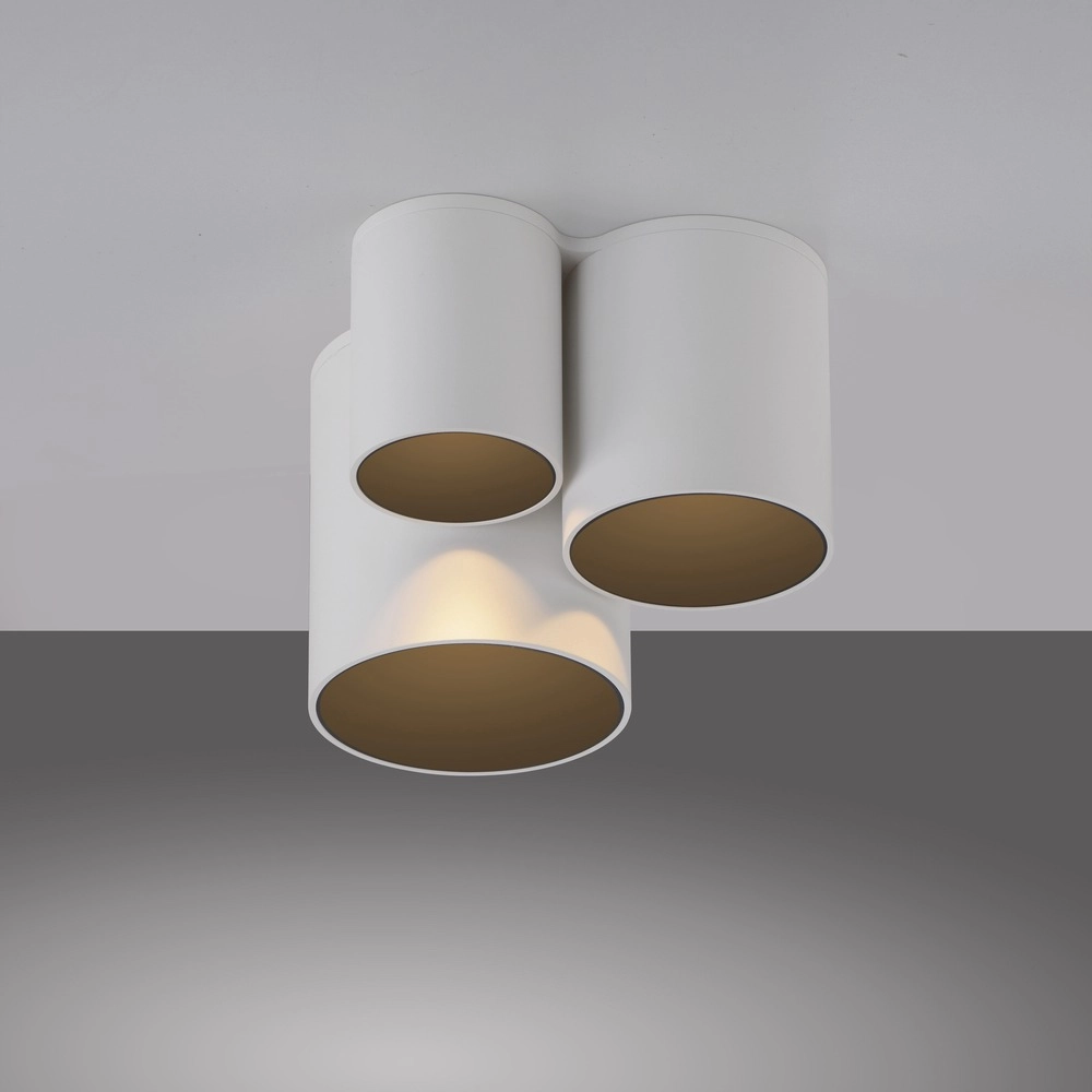 3L plafondlamp Pure Point wit Paul Neuhaus 4012248395707