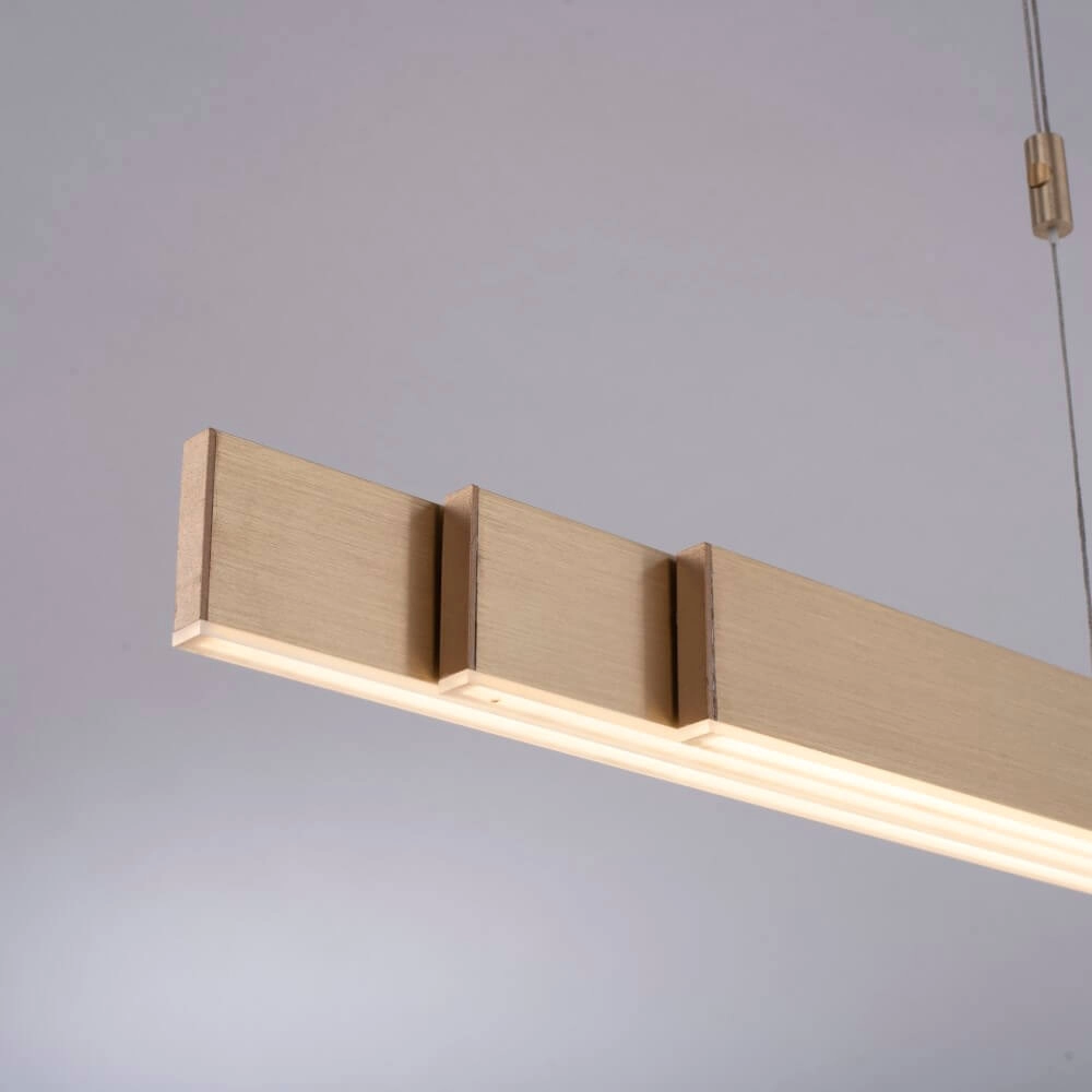 Led hanglamp Pure-Moto messing mat Paul Neuhaus 4012248363768