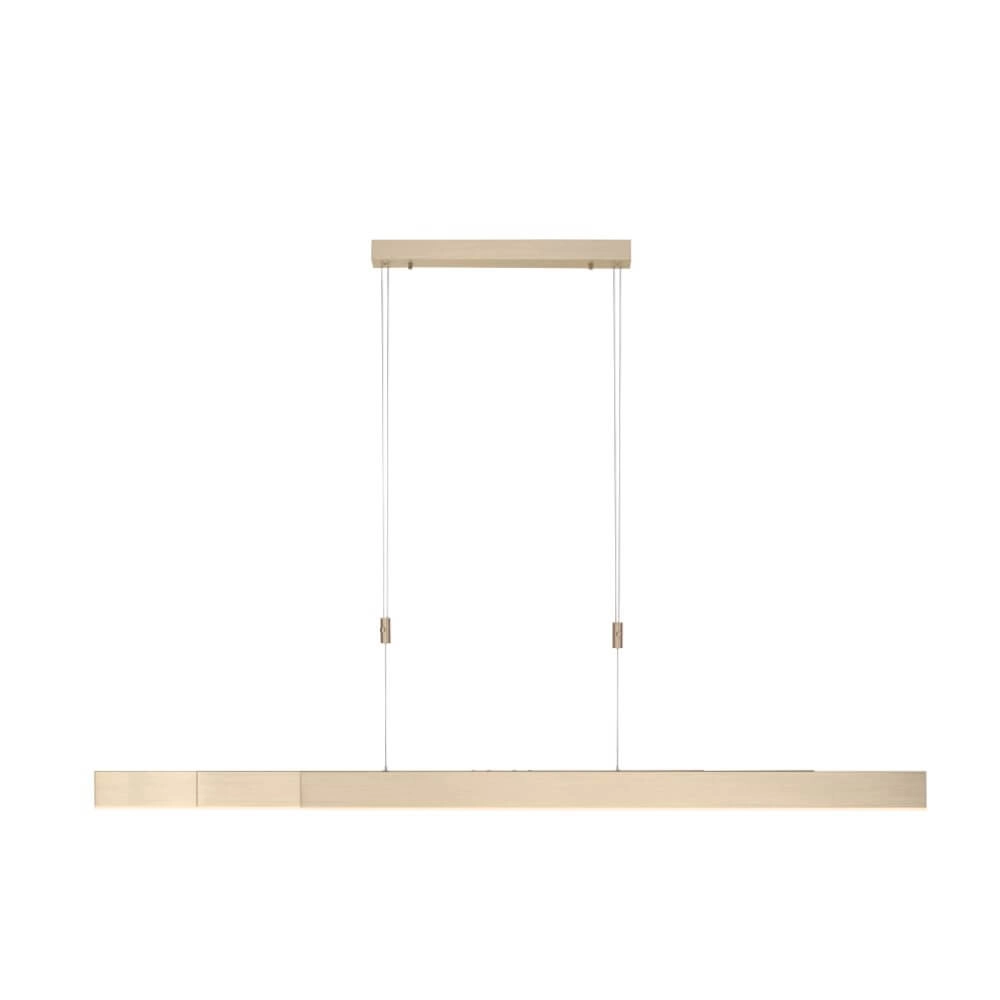 Led hanglamp Pure-Moto messing mat Paul Neuhaus 4012248363768