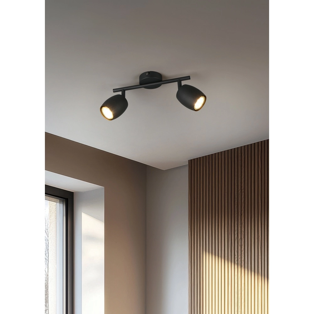 Plafondlamp Nancy 2-lichts zwart Trio 4017807656602