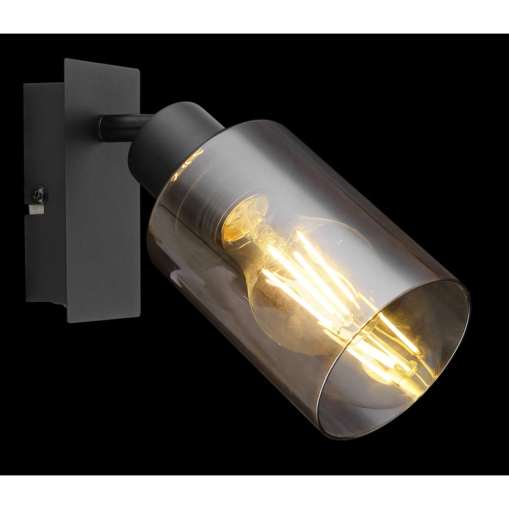 Wandlamp Hadera zwart met smoke glas Globo 9007371437214