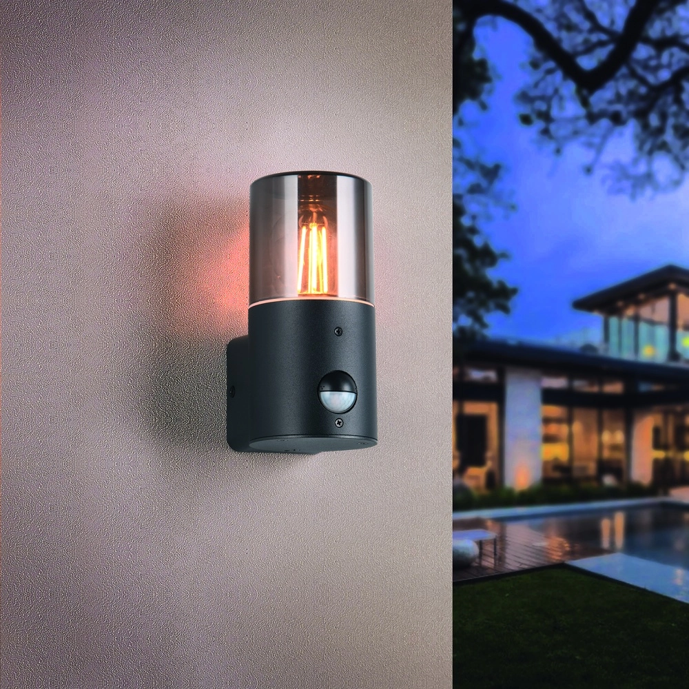 Wandlamp Hoosic enkel met sensor Trio 4017807603620