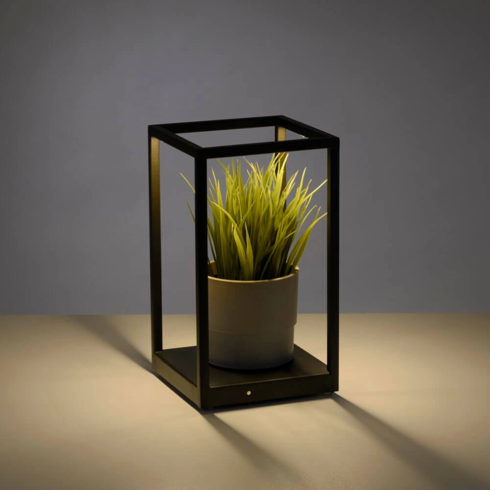 Strakke tafellamp Contura zwart Paul Neuhaus 4012248359419