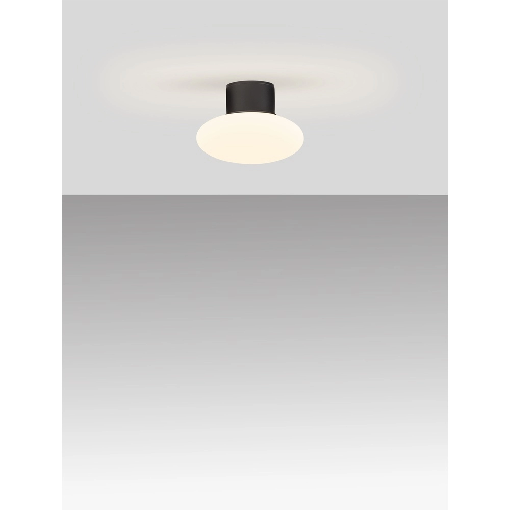 Plafondlamp Ali antraciet met ovaal wit glas Lyora 5212017476456