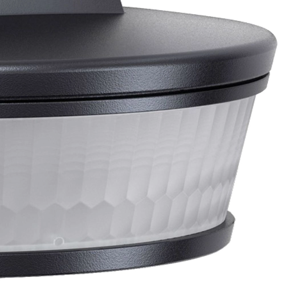 Bewegingsmelder SensIQ S EVO Steinel 4007841034979