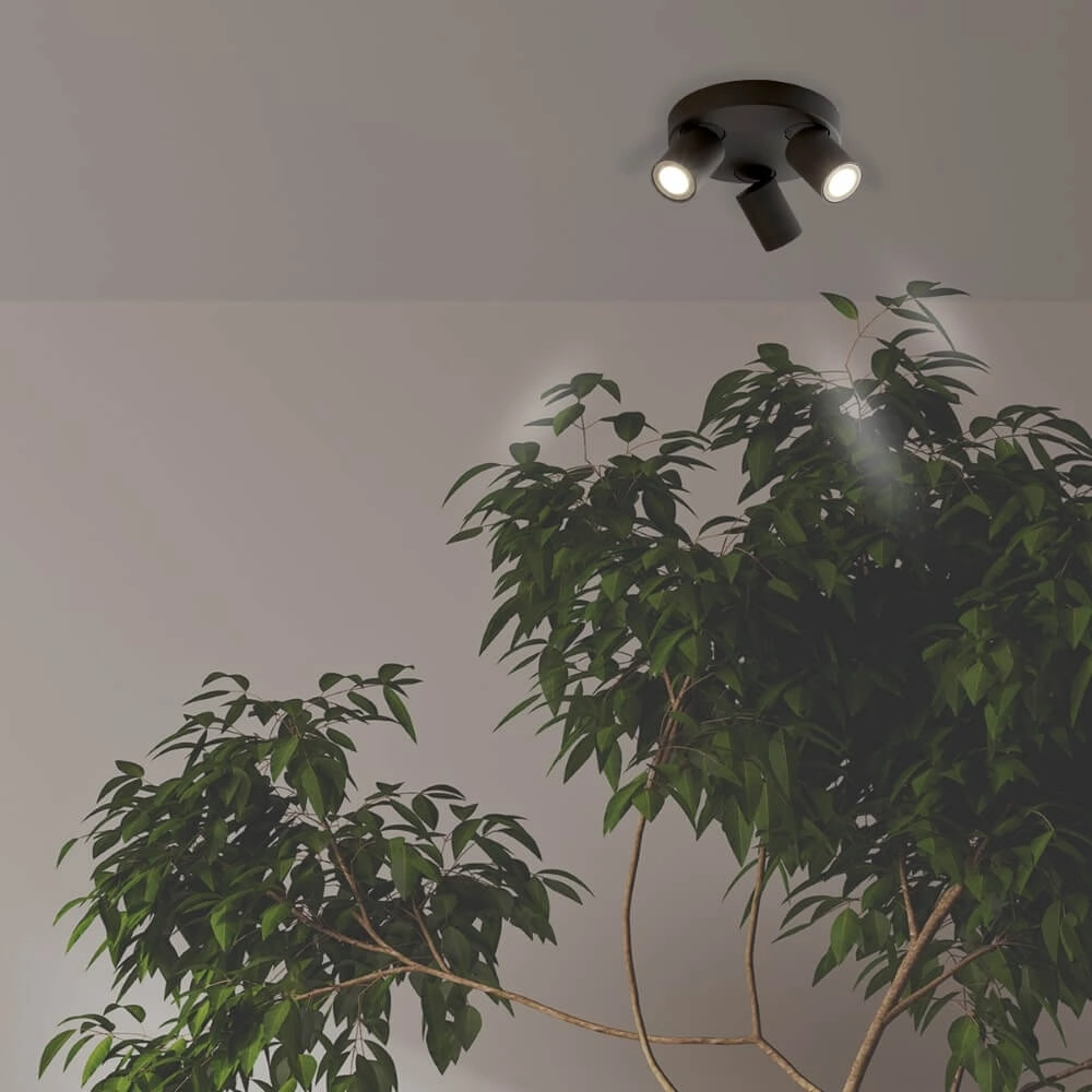 Plafondlamp Moon 3 rond zwart Lyora