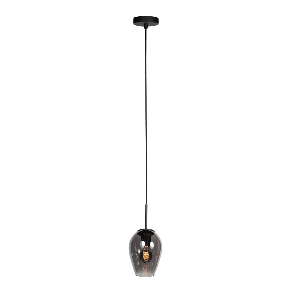 Hanglamp HaloSwap met 1 smoke glas Ø 15cm Steinhauer 8712746179712