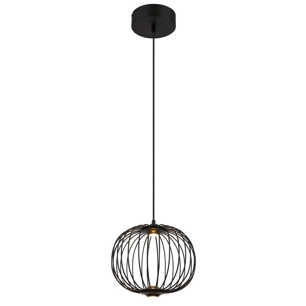 Zwarte hanglamp Galway enkel kooi Ø 30cm
