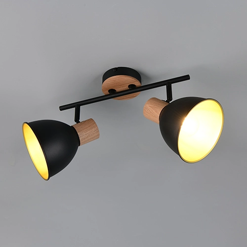 Plafondlamp Delume dubbel zwart